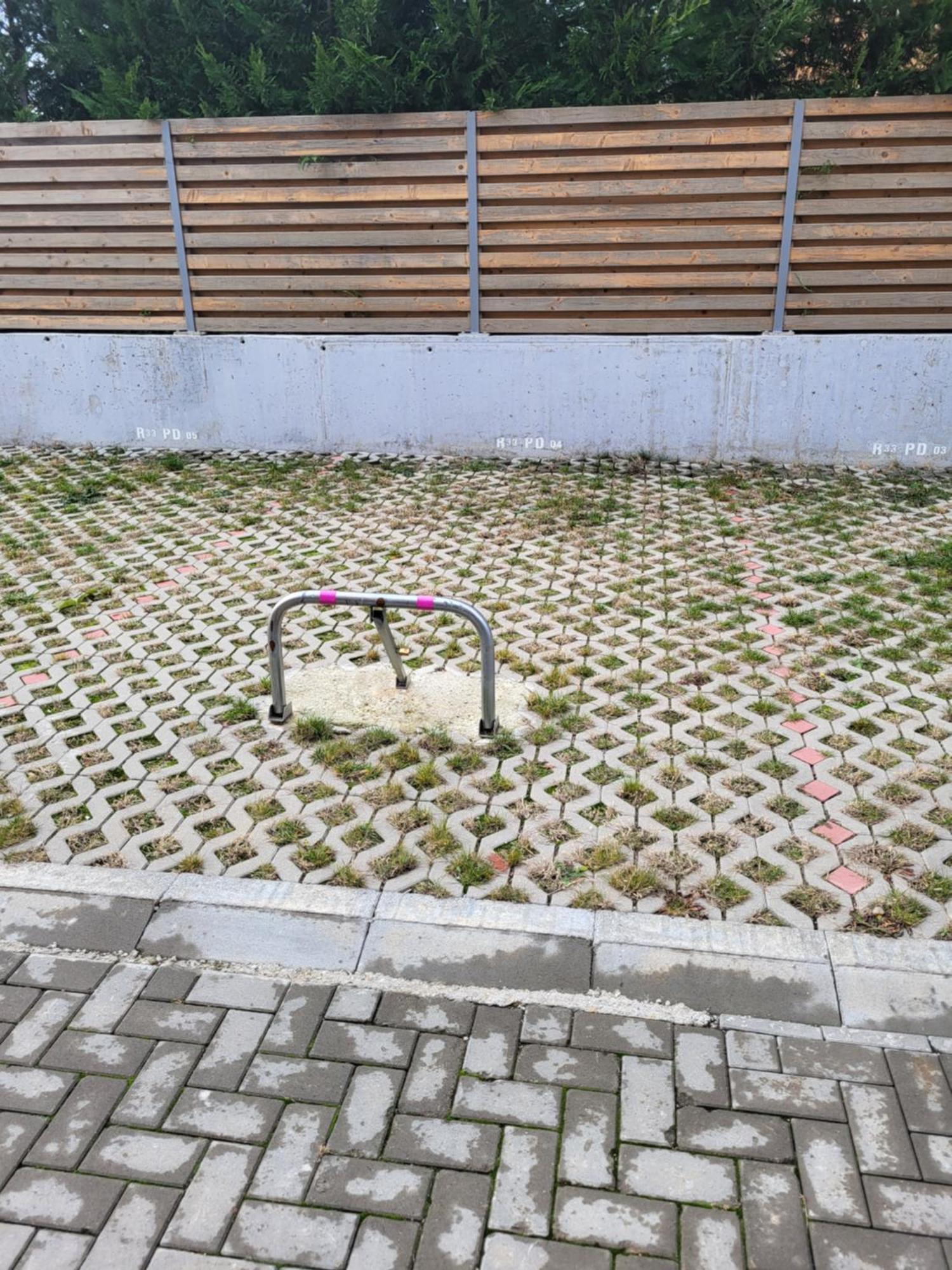 Sika Sunny Garden Apartment Arad Exterior photo